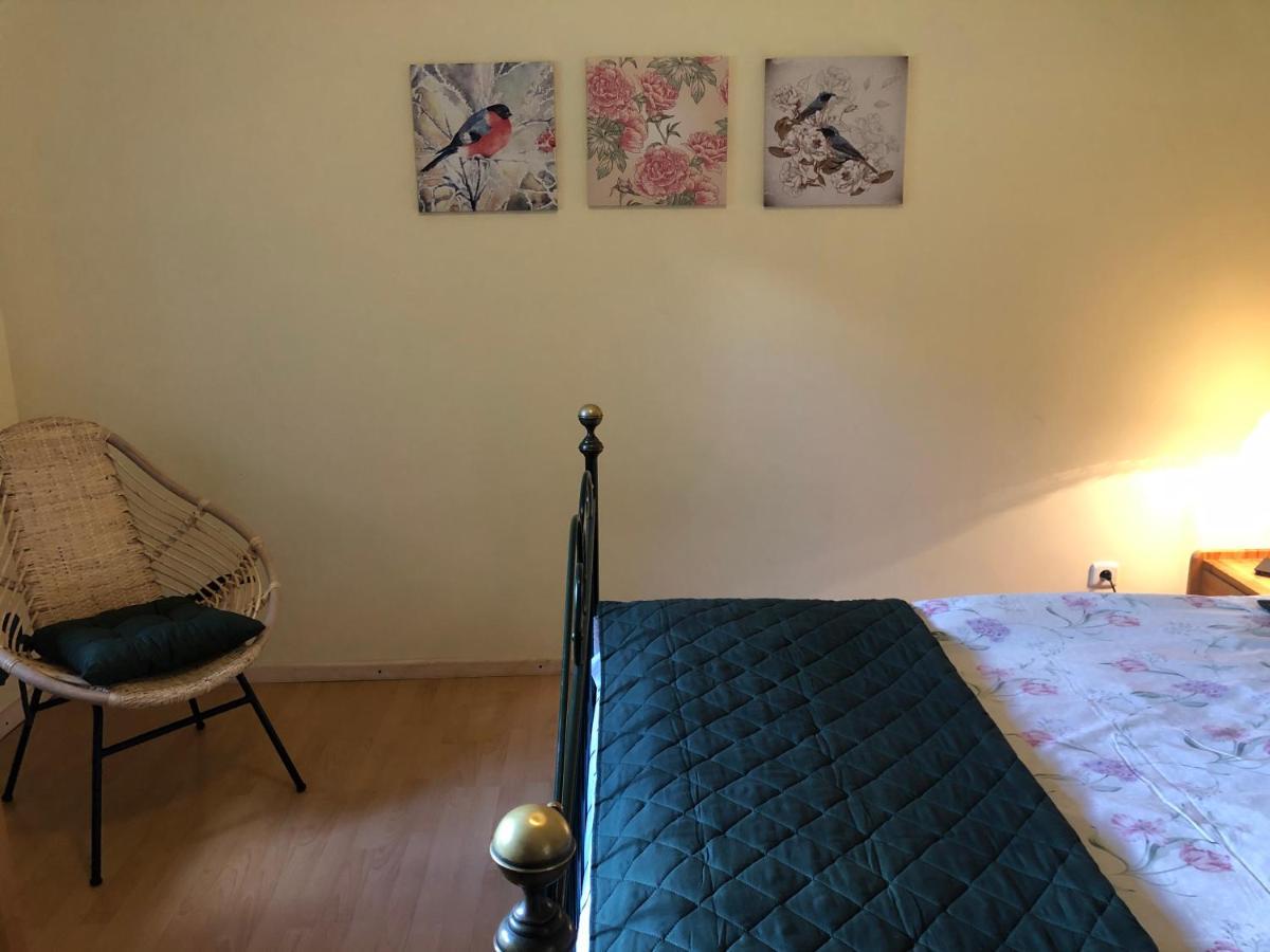 Za Piecem Vila Guzowy Piec Exterior foto