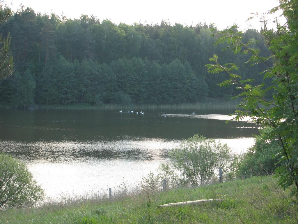 Za Piecem Vila Guzowy Piec Exterior foto