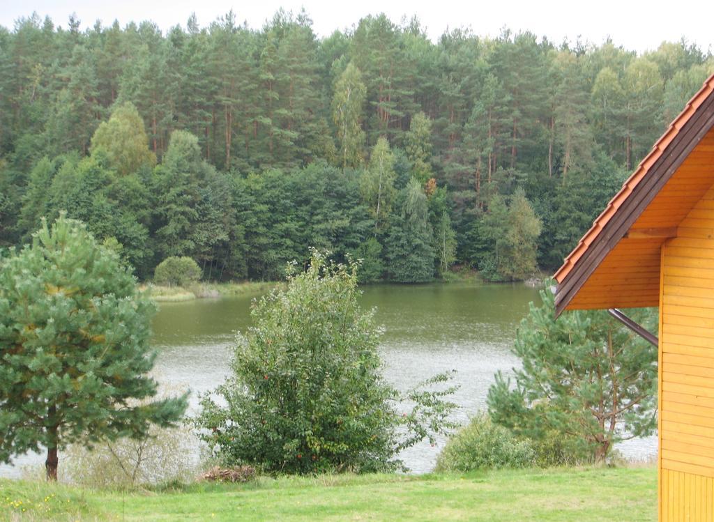 Za Piecem Vila Guzowy Piec Exterior foto