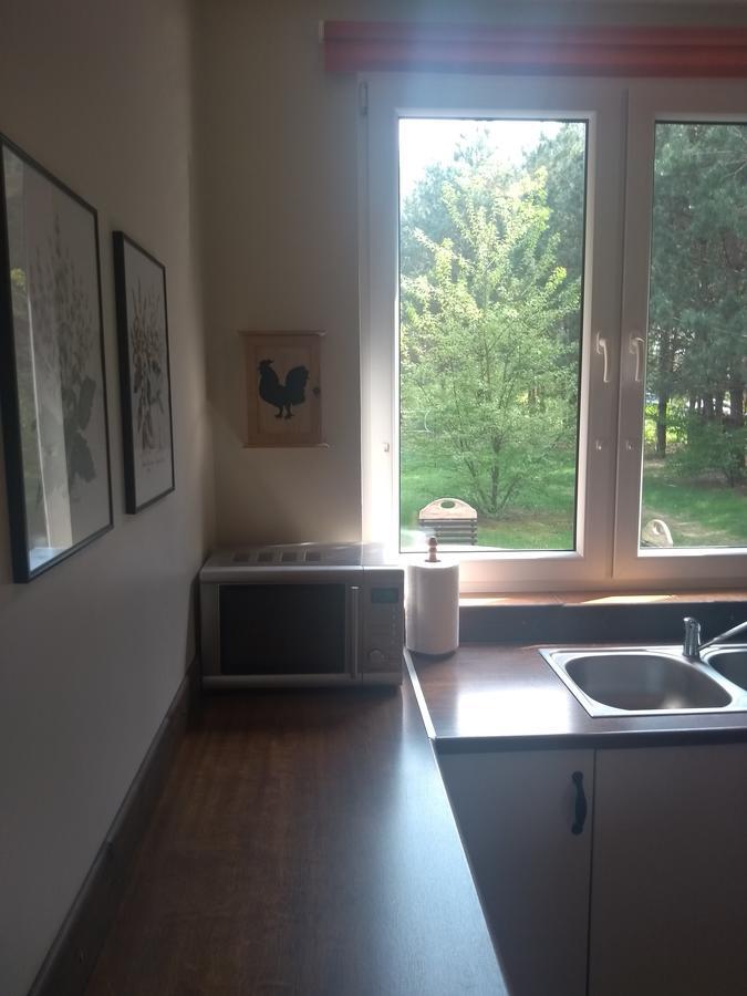 Za Piecem Vila Guzowy Piec Exterior foto